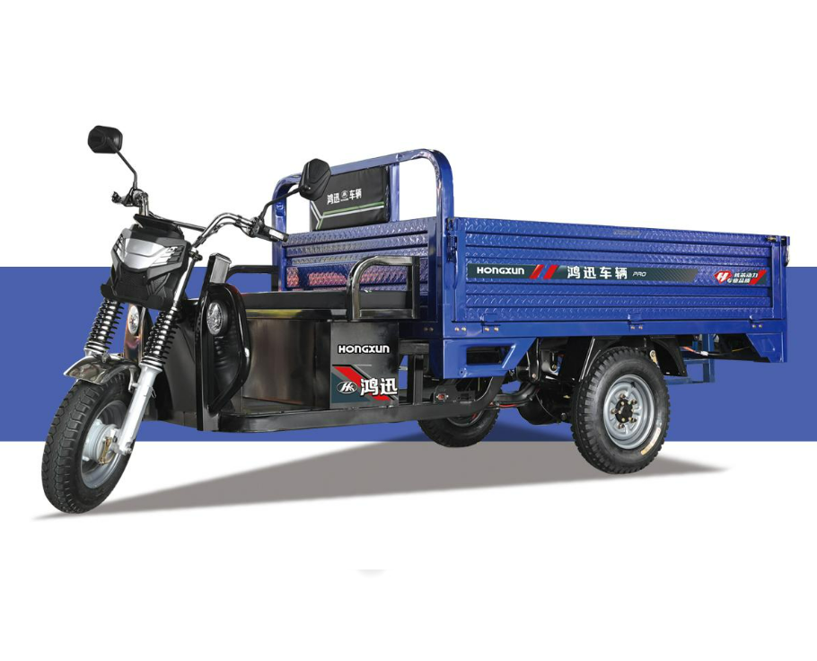Best Electric Tricycle Bike