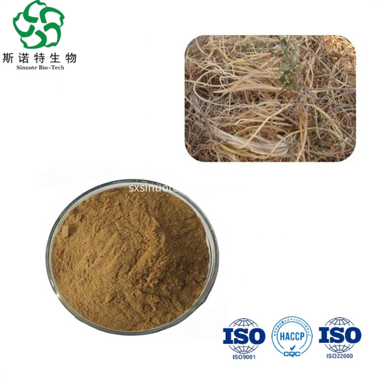 Gentiana Scabra Extract