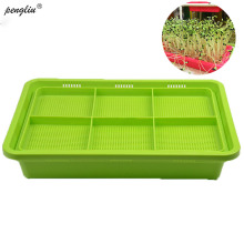 Plastic Hydroponics Seed In Nursery Pot Green Planter Flower Germination Sprout Tray Vegetable Seedling Cat Grass 2019