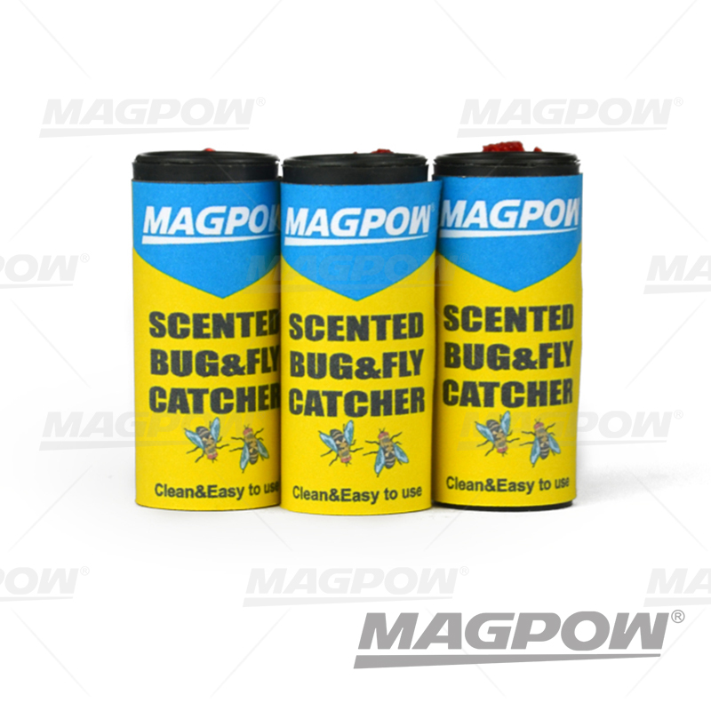 Mpi101 Sy3