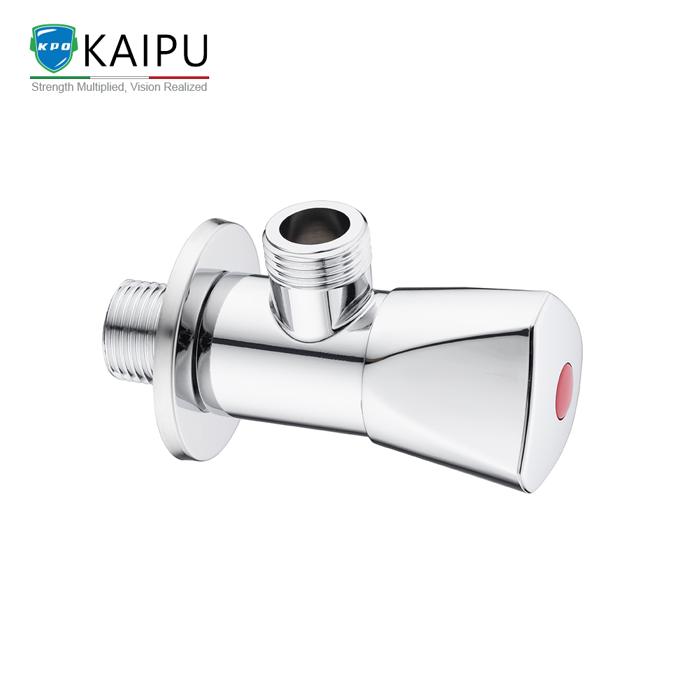 ANGLE VALVE (4)