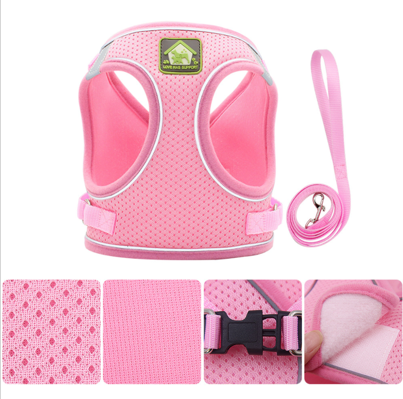 Harness And Leash Set For Puppy