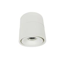 COB 10W Surface Mounted Downlight