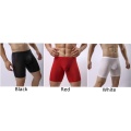 Men's Sexy Underwear Transparent Mesh Boxer Briefs Slim Underpants Men's Underwear Elastic Mesh See-through Boxer Briefs