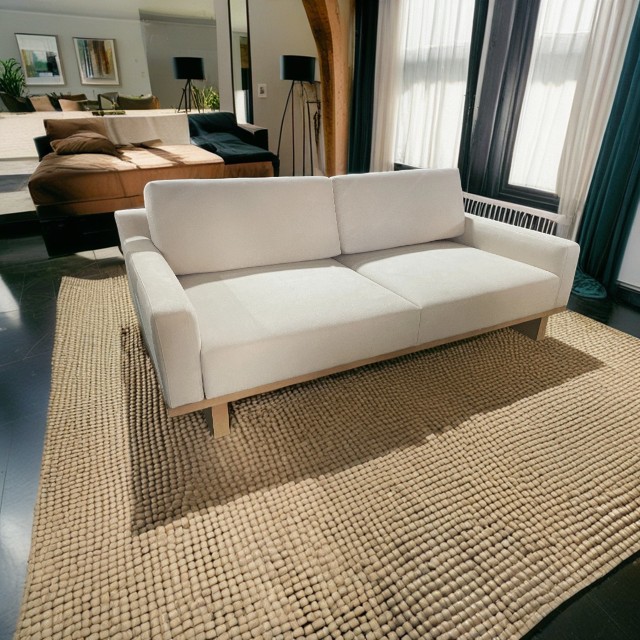 living room sofa-2 (1)