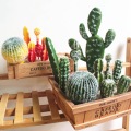 Artificial Succulents Plant Garden Miniature Fake Cactus DIY Home Floral Decoration Wedding Office Garden Decorative Plant