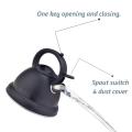 Black Flame Pattern Stainless Steel Whistling Water Kettle