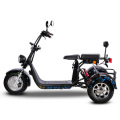 Adult Electric Three Wheel Tricycle With Long Endurance Dual Disc Brake Large Motor Aluminum Alloy Wide Tire