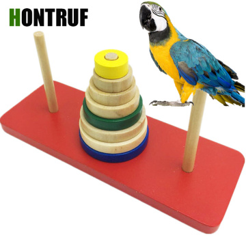 Medium and large parrot educational toys interactive intellectual toy pet toy supplies training bird tool puzzle
