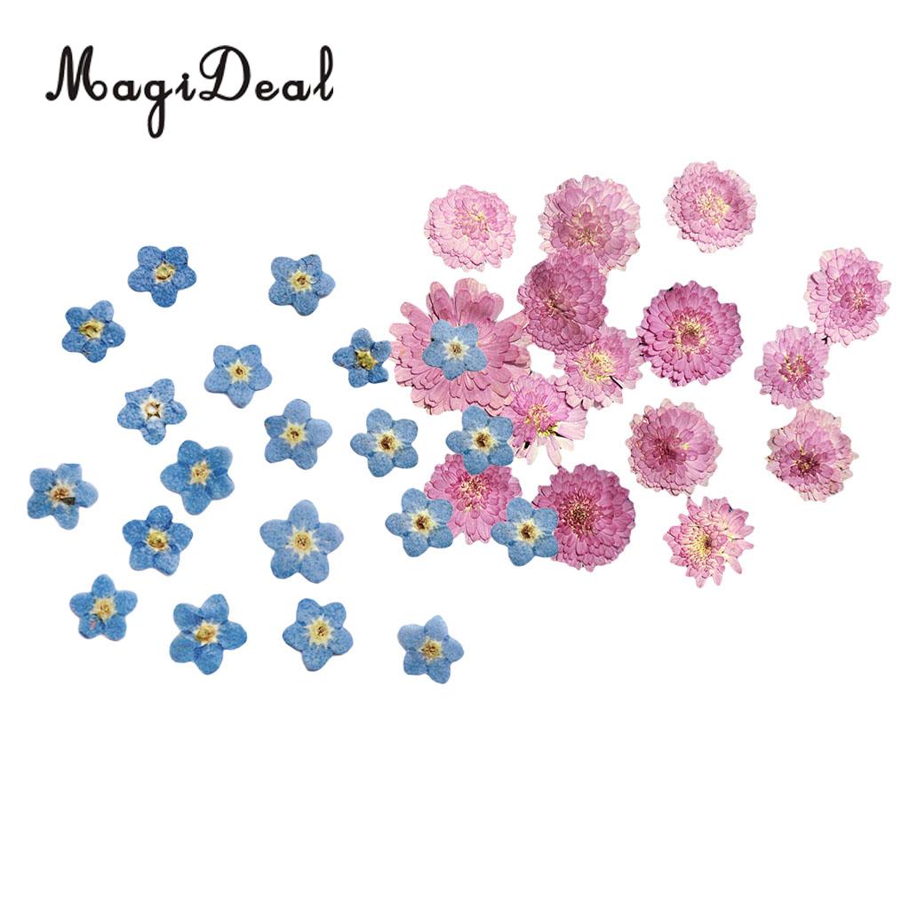 MagiDeal 20Pcs Pressed Dried Flower Dry Leaves For DIY Crafts Bookmark Cards Making