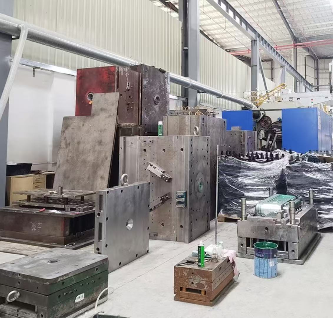 Mold desplay