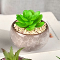 Ceramic Succulent Leaf Potted Pot Small Fresh Mini Plant Nursery Pot Office Desktop Potted Plant Succulent Pot Plant Pots
