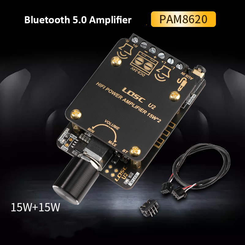 PAM8620 Bluetooth 5.0 Audio Amplifier Board stereo Channel High Power 15W*2 amplificador With Case F8-010