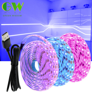 5V LED Strip Light USB 2835SMD RGB Diode Tape 0.5M 1M 2M 3M Flexible Neon Ribbon for TV Backlight PC Screen Background Lighting