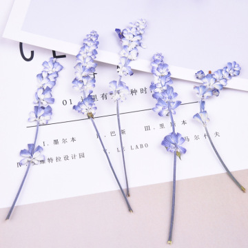 20pcs/lot,Natural Pressed flowers with stem,Eternal real rose flowers for DIY Wedding invitations Craft Photo Bookmark Gift Card