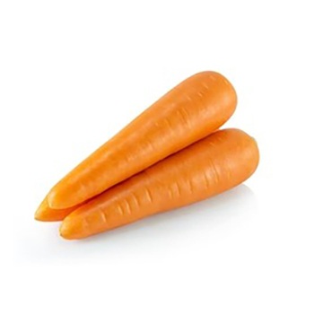 Fresh Baby Carrots for Export Supply