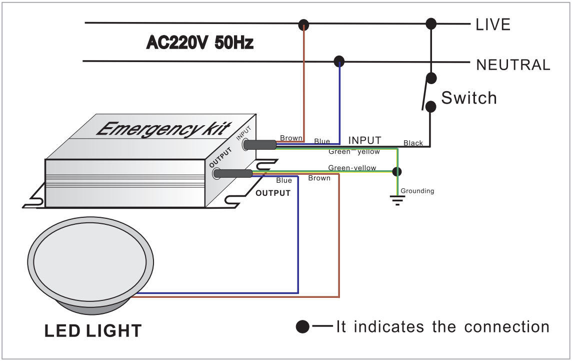 Wiring diagram  for LED light with internal driver