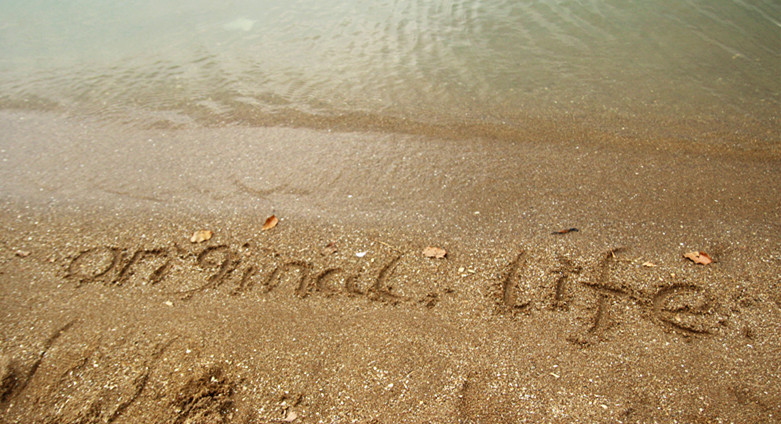 Child car seat Child car seat