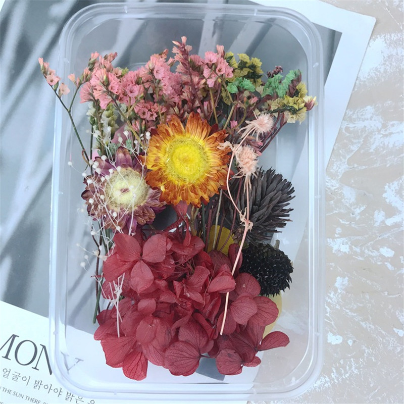 1 Box Real Mix Dried Flower Dry Plants For Valentine's Day Gift Pendant Necklace Jewelry Making Craft DIY Accessories