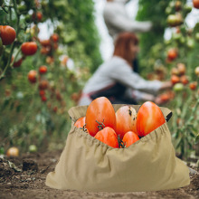 Harticultural vegetable storage bag