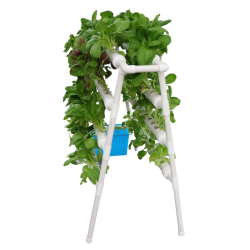 Indoor planting A Hydroponics plastic growing system Manufacturers and Indoor planting A Hydroponics plastic growing system Suppliers