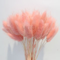 30pcs Garden Rabbit Tail Grass Preserved Fresh Flower Natural Dried Flowers Bouquet Wedding Home Decoration