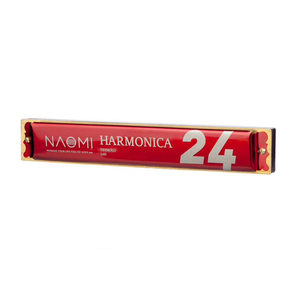 NAOMI 24 Holes Tremolo Harmonica Key of C Stainless Steel Mouth Organ Harmonicas with Case Wind Instrument Accessories