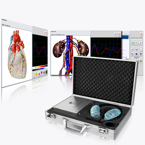 Bioresonance diagnosis and therapy hunter 4025 nls for Sale, Bioresonance diagnosis and therapy hunter 4025 nls wholesale From China