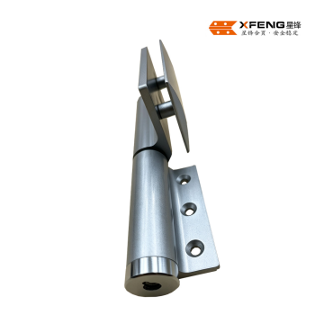 Golden customizable Hydraulic Hinge For Glass Partition Door