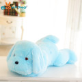 50cm blue dog