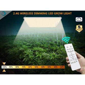 Indoor Agriculture Hydroponic Growth LED Light