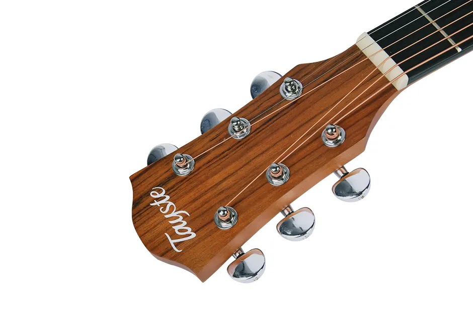Tayste TS-25-41 Acoustic Guitar