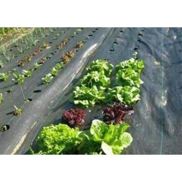 Pp Woven Weed Mat Weed Barrier Fabric China Manufacturer