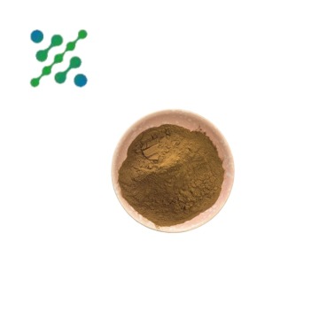 High-Quality Ceylon Cinnamon Extract for Health Benefits
