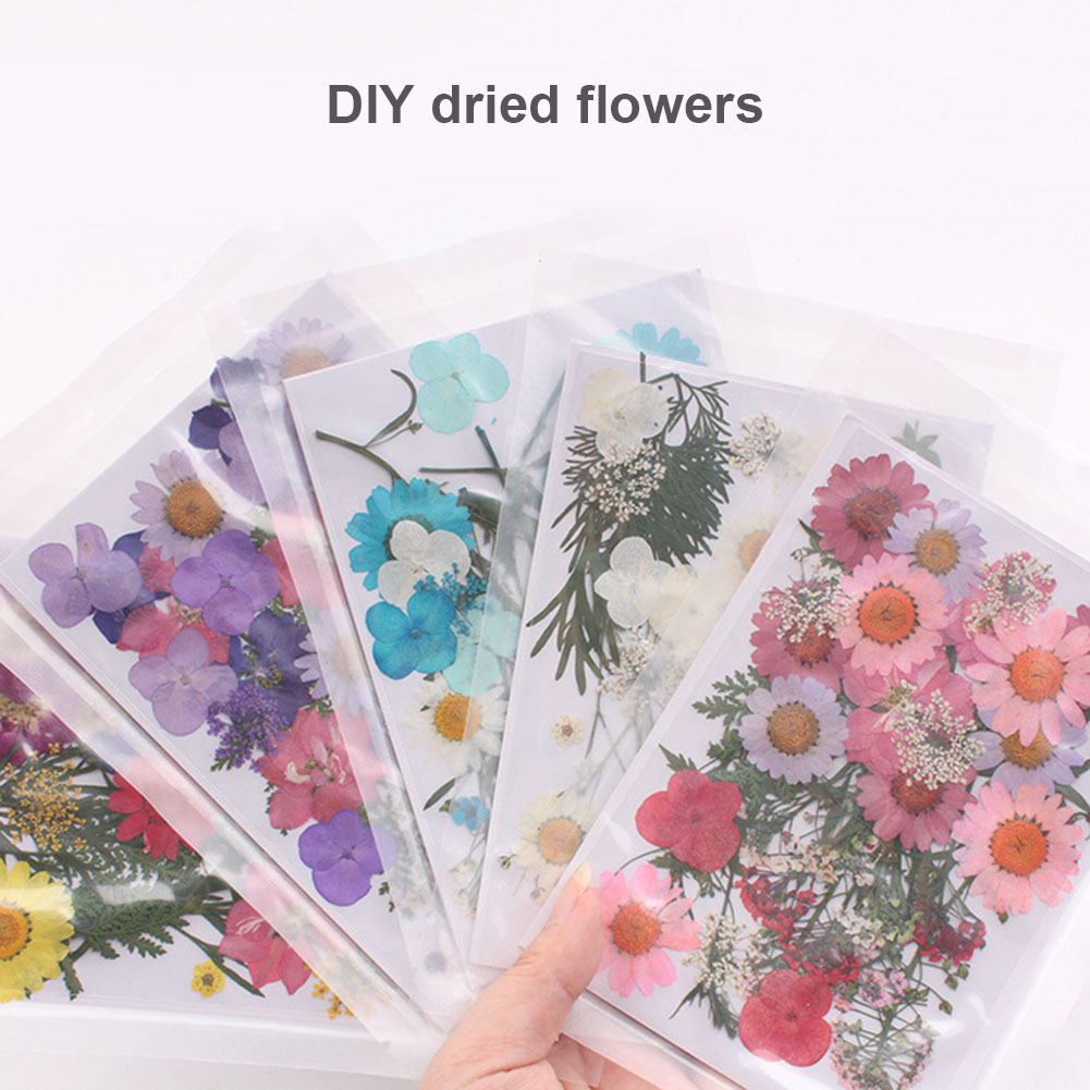 Hot Sale Pressed Flower Mixed Organic Natural Dried Flowers DIY Art Floral Decors Collection Gift Best Price