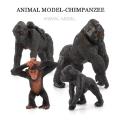 Wild Animal Model Realistic Gorilla Chimpanzee Figure Education Toys Children Figurine Collectible Soft Rubber Animal Kids toy