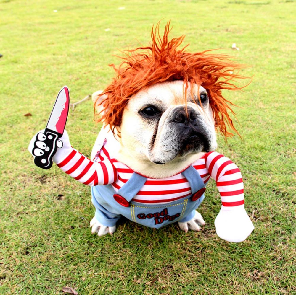Dog Costumes Amazon