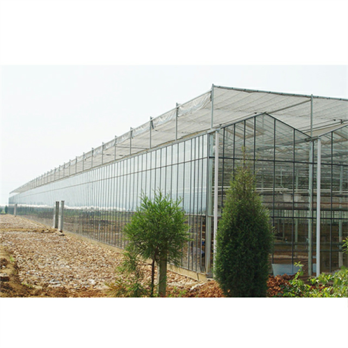 Agricultural Large Venlo Glass Flower Greenhouse Manufacturers and Agricultural Large Venlo Glass Flower Greenhouse Suppliers