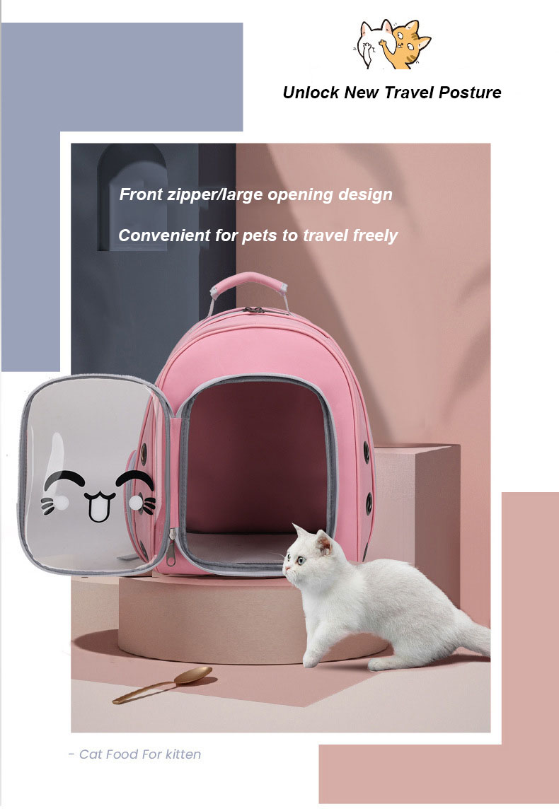 Pet Travel Carrier