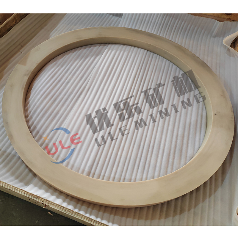 19 Dust Seal Ring