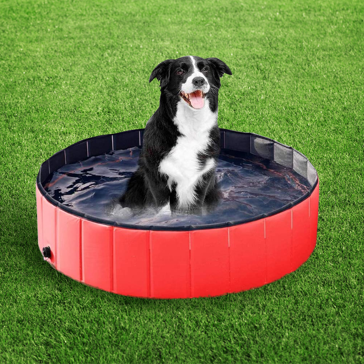 Dog Pet Swimming Pool Bathing Tub 120 Cm 6