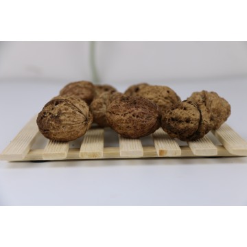 Unwashed In-Shell Walnuts for Commercial Roasting