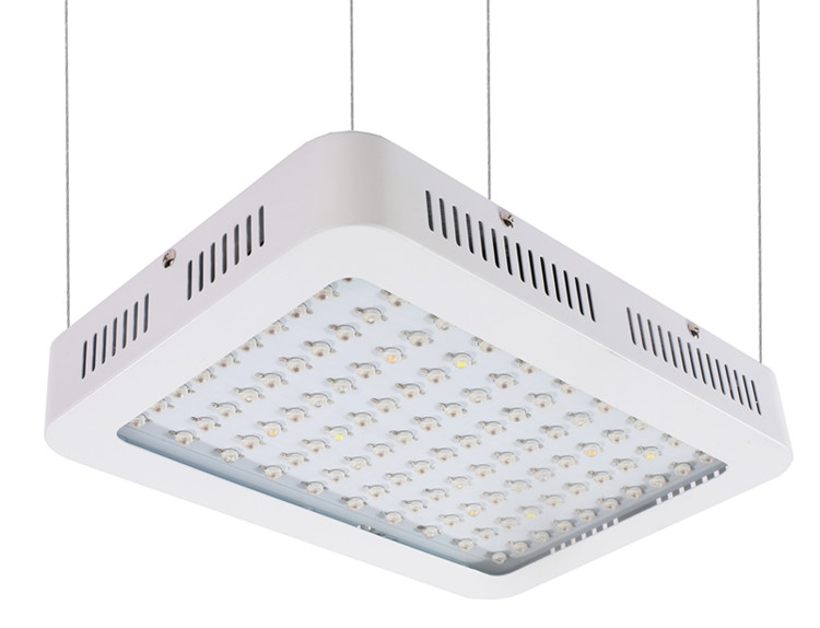 led 1000w grow light uk hydroponic