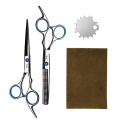 Professional Hairdressing Scissors Kit 6 Inch Stainless Steel Hair Scissors Tail Comb Hair Cloak Hair Cut Comb Styling Tool
