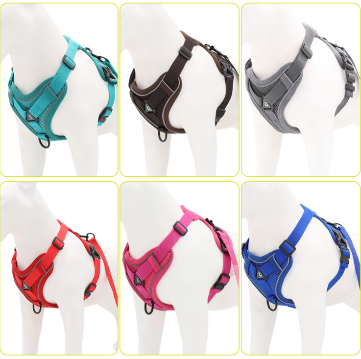 Dog Harness And Leash Set Designer