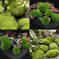 1pcs Simulation Moss Irregular Green Stones Grass Aquarium Garden Plant DIY Micro Landscape Decorations
