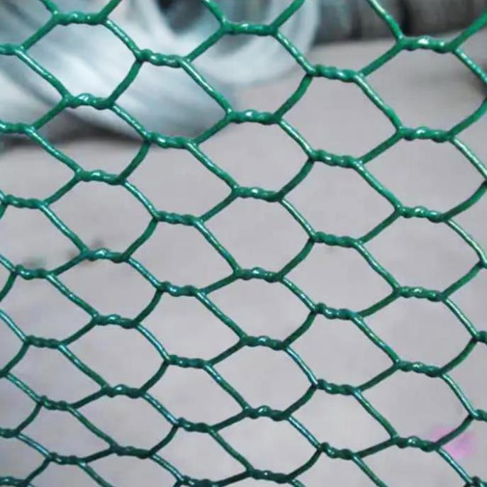 Hexagonal Wire Mesh Hex Netting Chicken Mesh 50