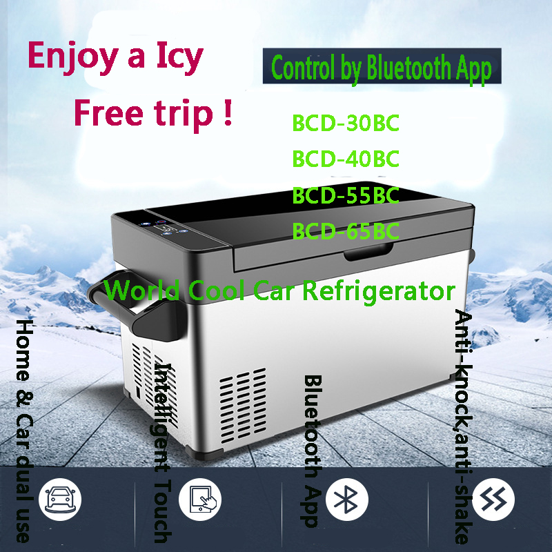 30/40/55/65Liters ACDC12V24V Camping Picnic Outdoor RV Car Refrigerator Deep Freezer Cooler Box Portable Mini Fridge Travel Hom