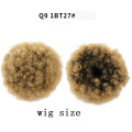 Q9-wigsize-1bT27