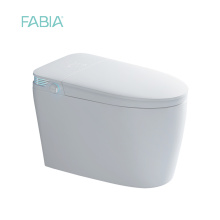 OEM Floor Mounted Auto Flush Bidet Toilet